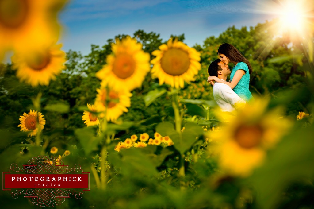 , Sarah and Kaiser- Sunflower Engagement Session