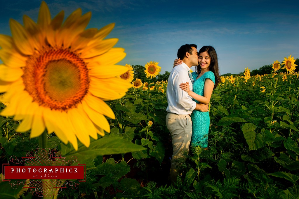 , Sarah and Kaiser- Sunflower Engagement Session